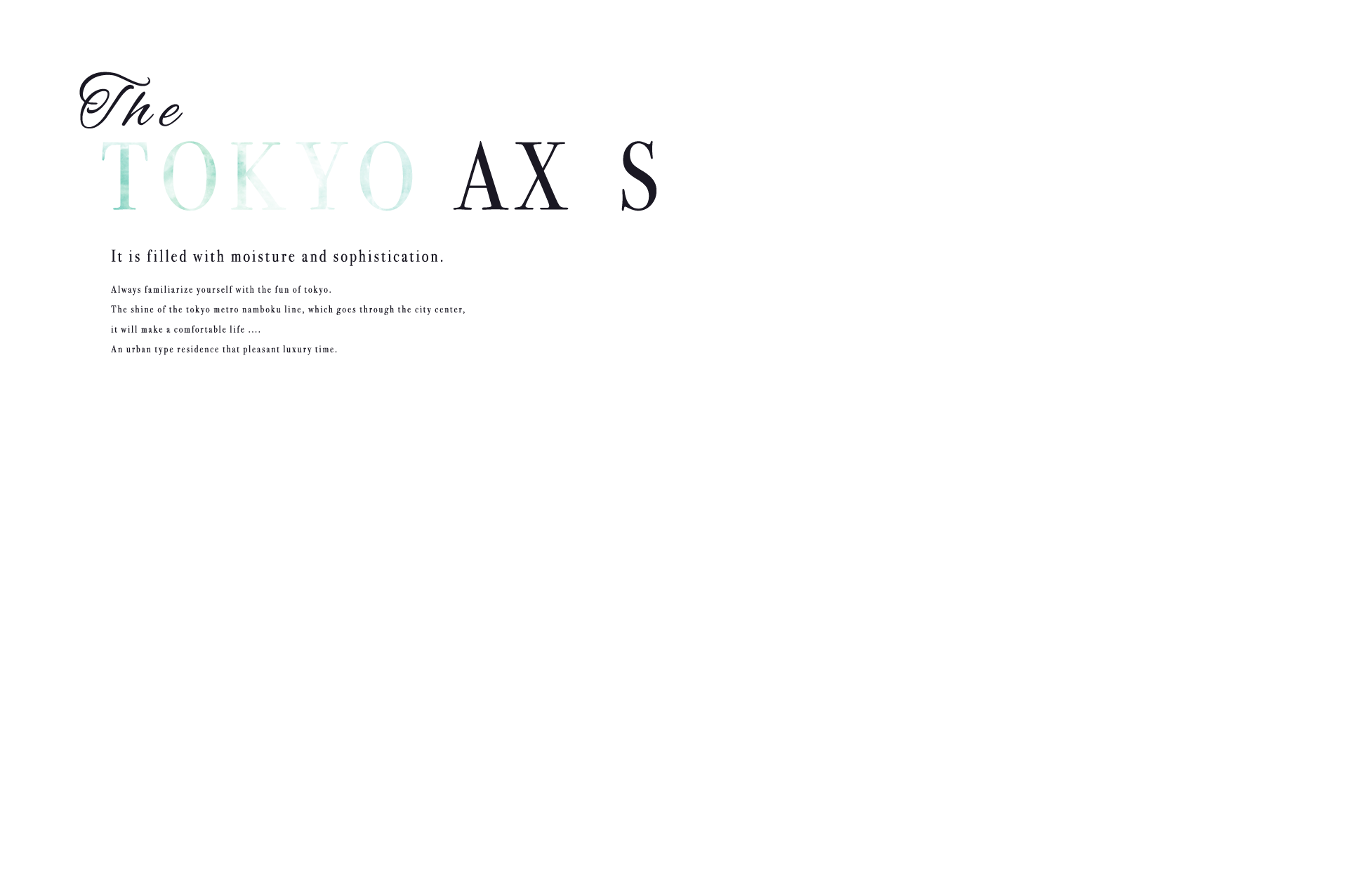 the TOKYO AX S