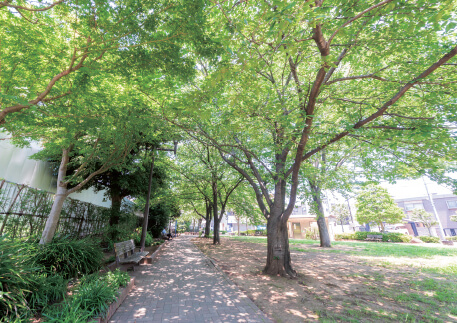 下鎌田へび土手公園