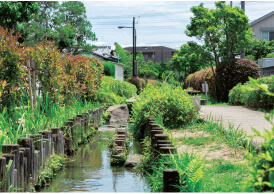 東井堀親水緑道