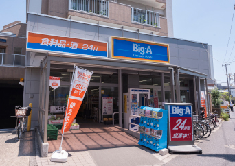 ビッグ・エー 江戸川南篠崎店