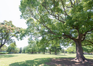 都立篠崎公園