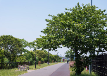 江戸川区水辺のスポーツガーデン　