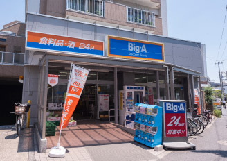 ビッグ・エー 江戸川南篠崎店