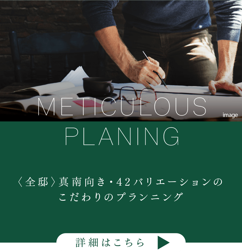 METICULOUS PLANING