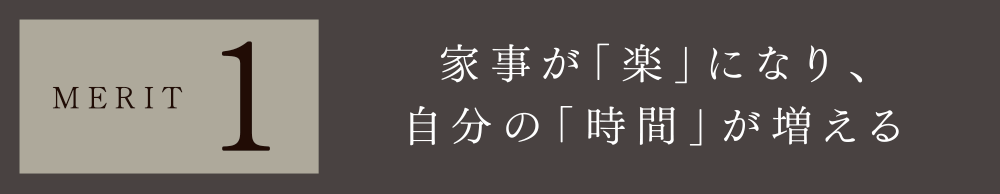 MERIT 1
