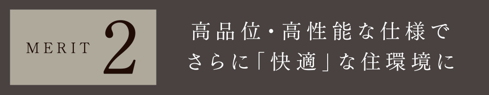 MERIT 1