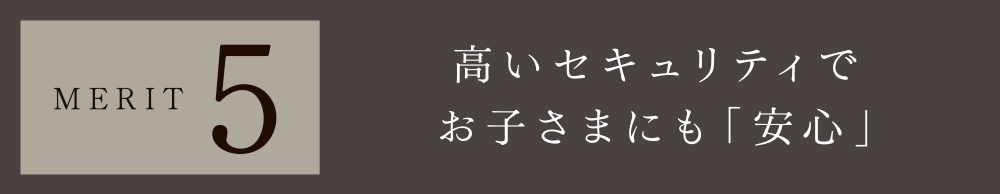 MERIT 1