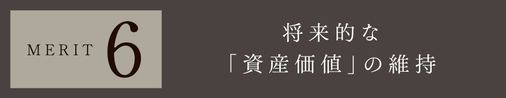 MERIT 1