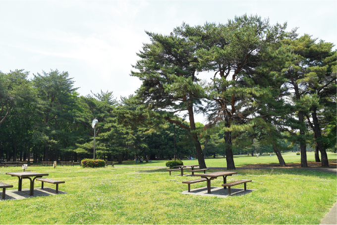 野川公園