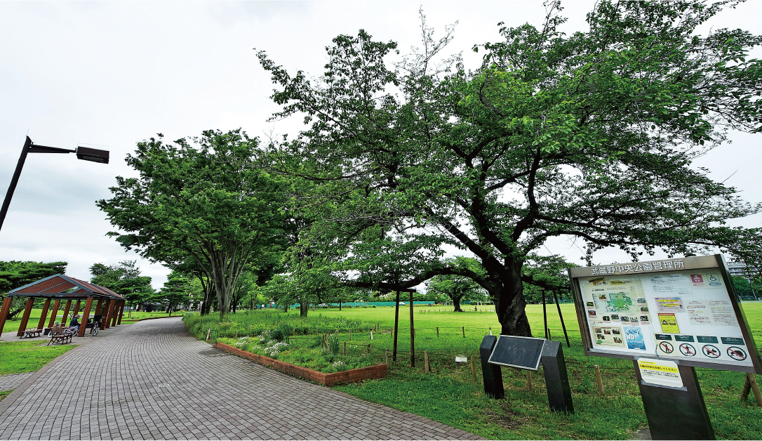 武蔵野中央公園