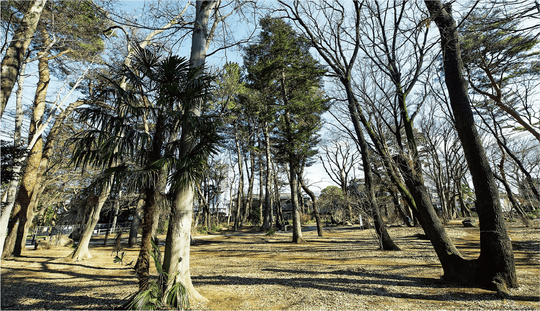 野鳥の森公園