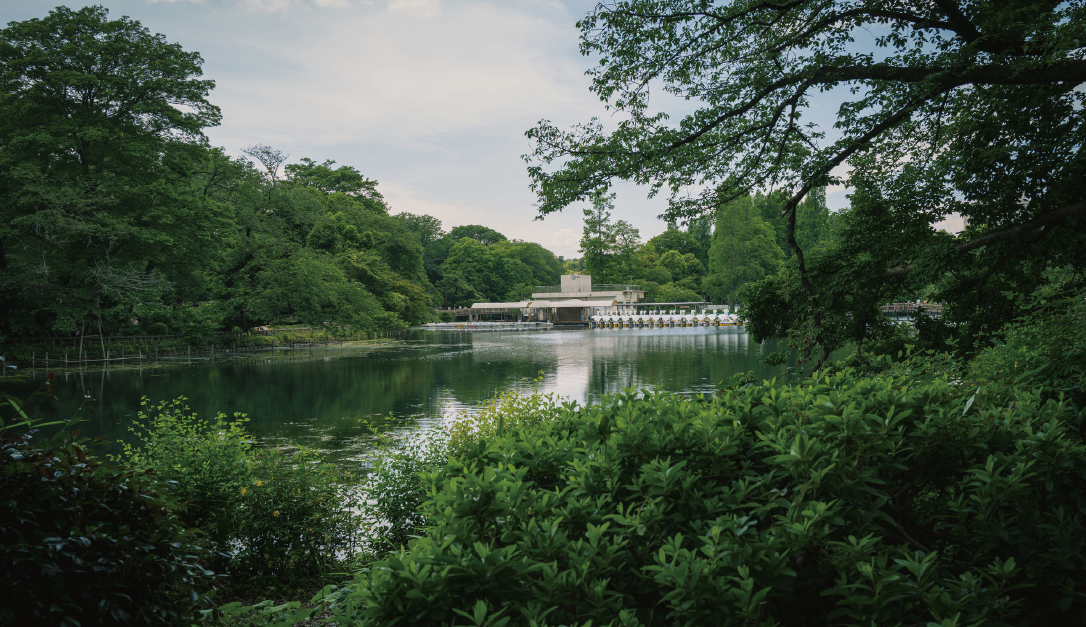 井の頭恩賜公園