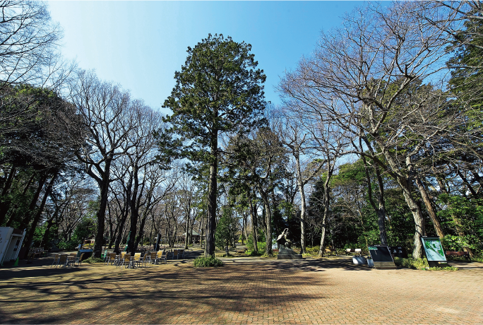 井の頭自然文化園