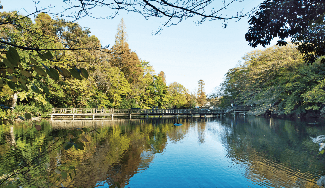 井の頭恩賜公園