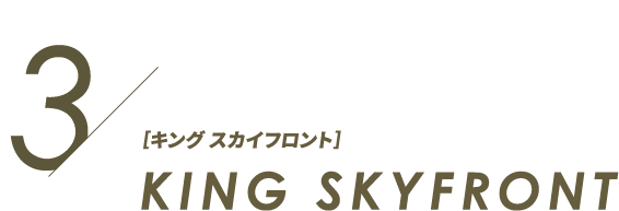 KING SKYFRONT