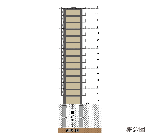 躯体構造