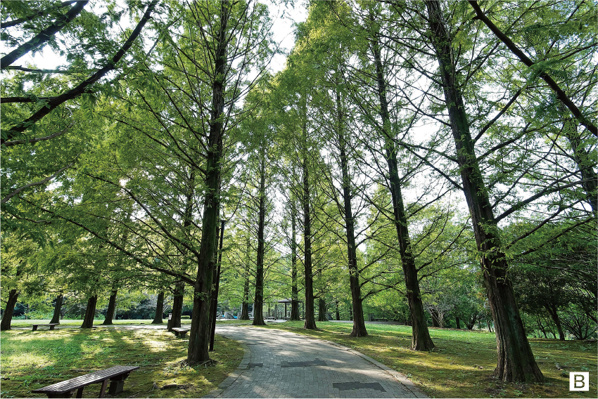 長岡公園