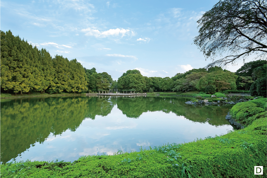 栃木県中央公園