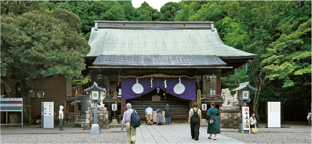 桜の写真