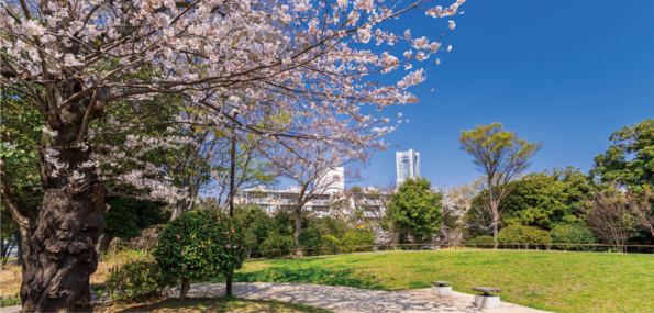 野毛山公園・動物園