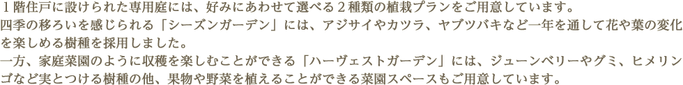 １階住戸に設けられた専用庭には、好みにあわせて選べる２種類の植栽プランをご用意しています。