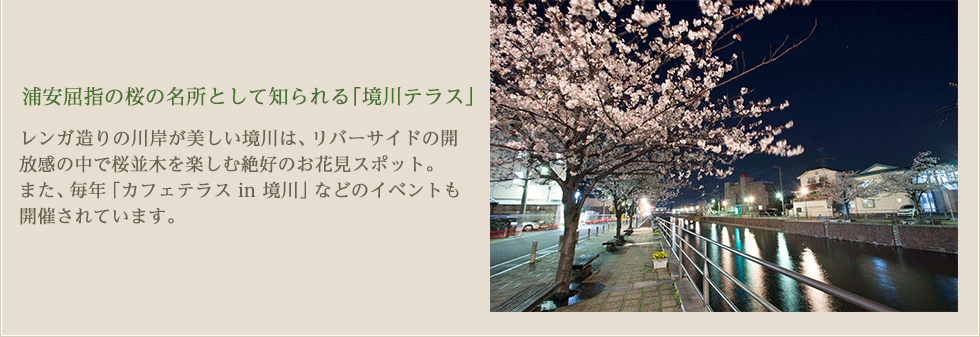 浦安屈指の桜の名所として知られる「境川テラス」