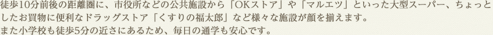 徒歩10分前後の距離圏に、市役所などの公共施設から「OKストア」や「マルエツ」といった大型スーパー、ちょっとしたお買物に便利なドラッグストア「くすりの福太郎」など様々な施設が顔を揃えます。また小学校も徒歩5分の近さにあるため、毎日の通学も安心です。