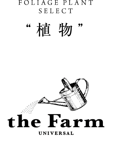 the Farm